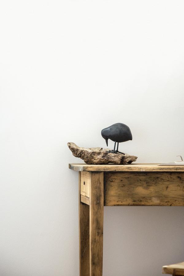 Le Roi Des Oiseaux - Gite A La Campagne Montcavrel Exteriör bild